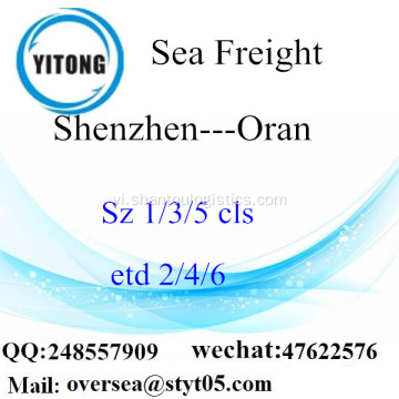 Shenzhen Port LCL củng cố để Oran